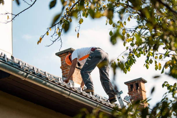 Roof Gutter Cleaning in North Fork, AZ