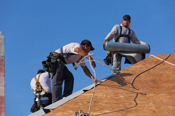 Best Local Roofing Companies  in North Fork, AZ