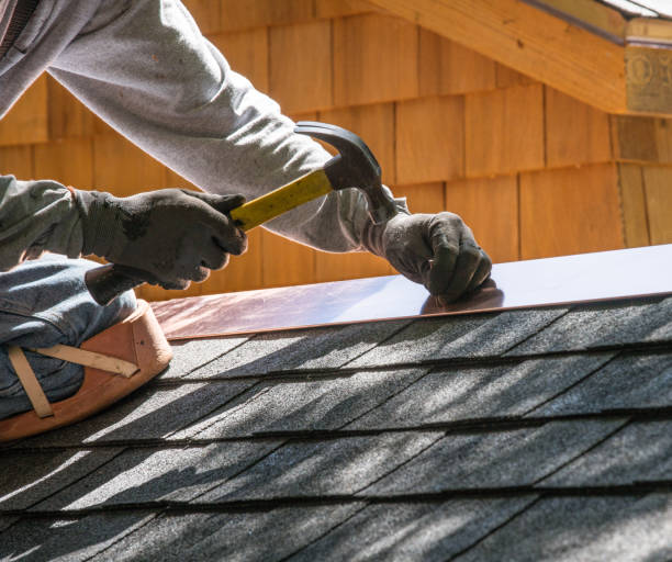 Best Roof Gutter Cleaning  in North Fork, AZ